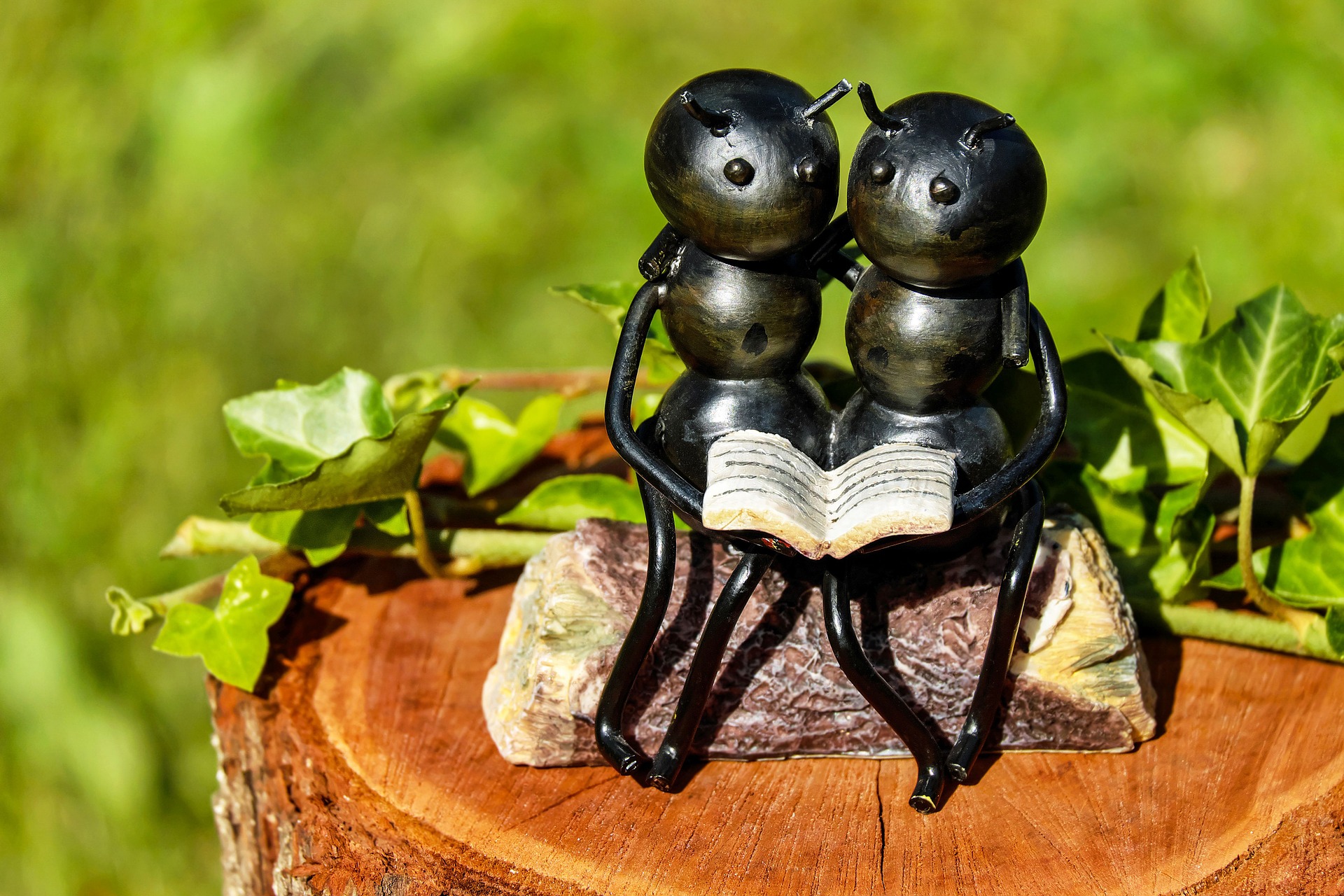 myror läsning bok författare